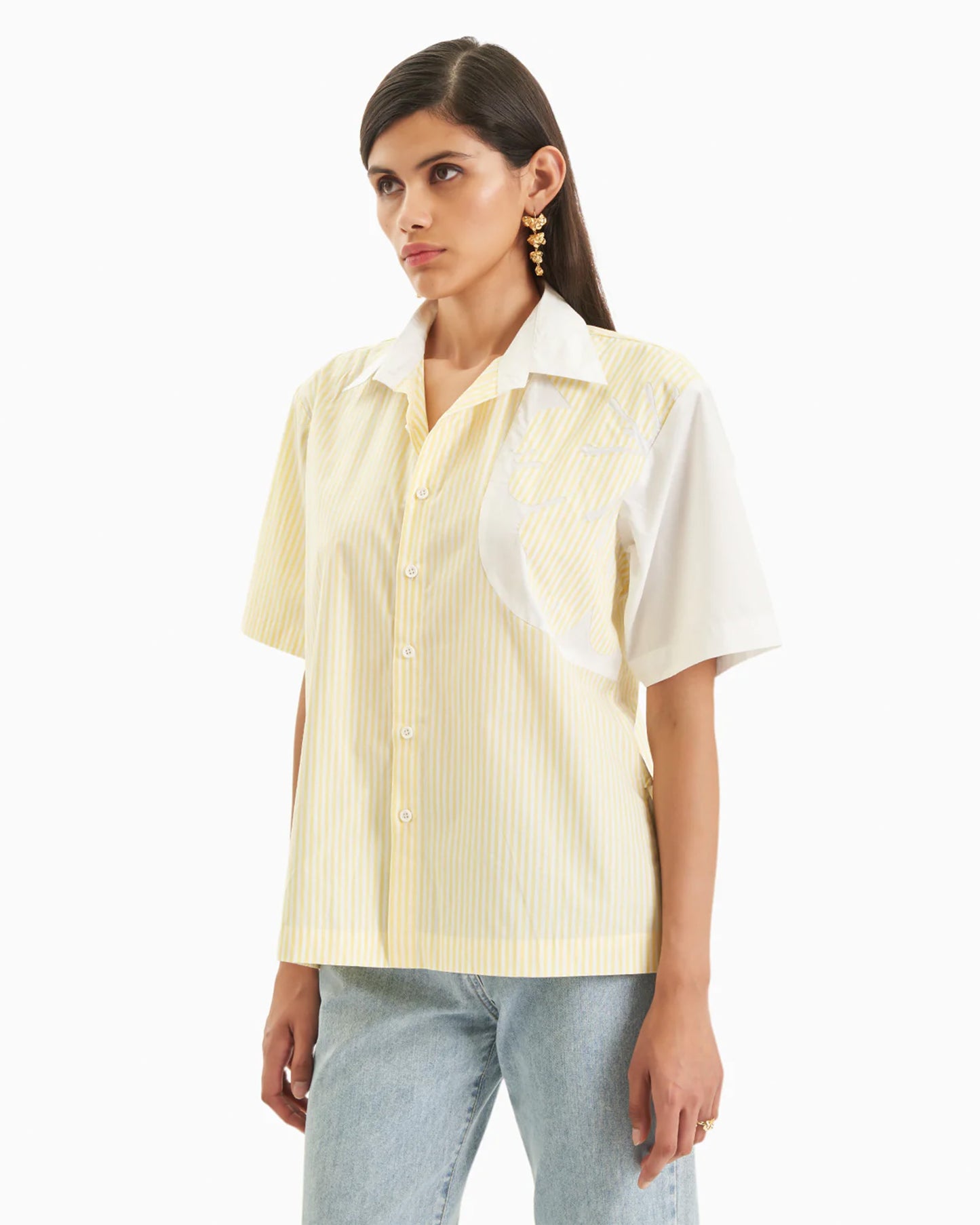 Pop & stripe shirt