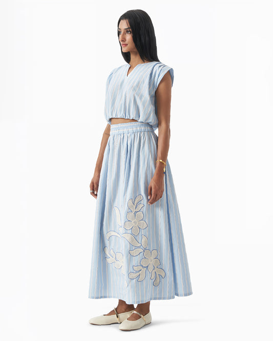 Blue Meadow Stripe Skirt Set
