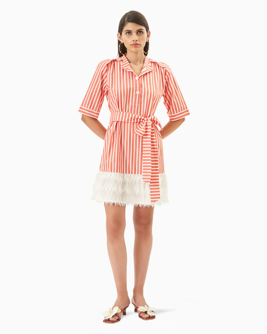 Cotton Quirk Dress
